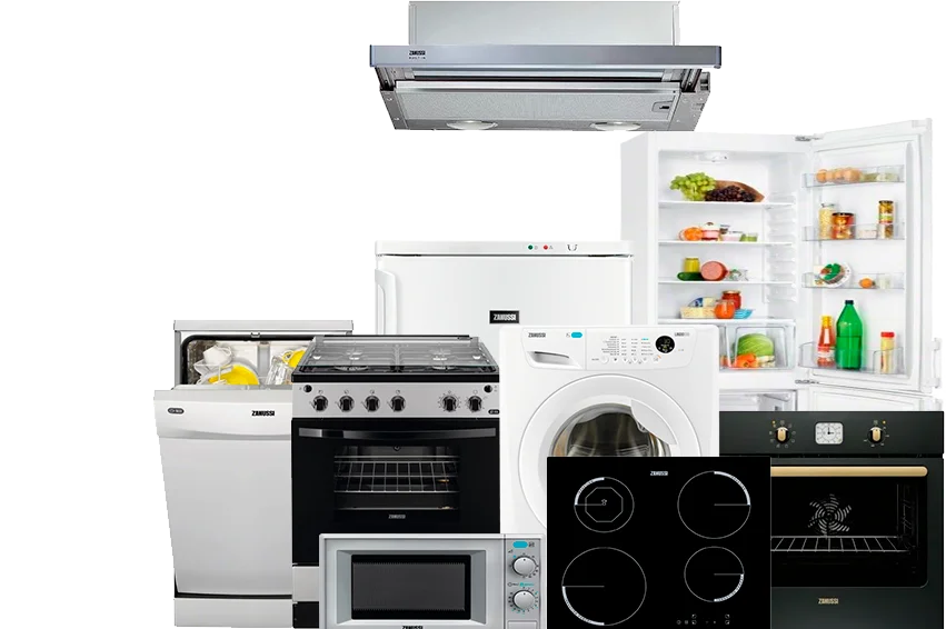 Ремонт техники Zanussi Ремонт техники Zanussi
